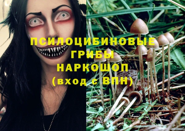 скорость Алзамай