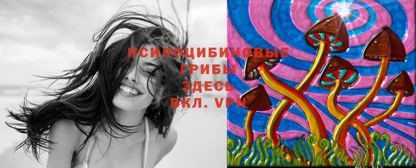 марки nbome Алексеевка