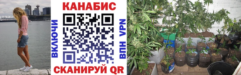 Канабис Amnesia  купить наркотики цена  ссылка на мегу ссылки  Добрянка 
